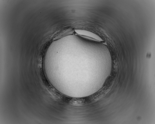 X0000099500368200806121421