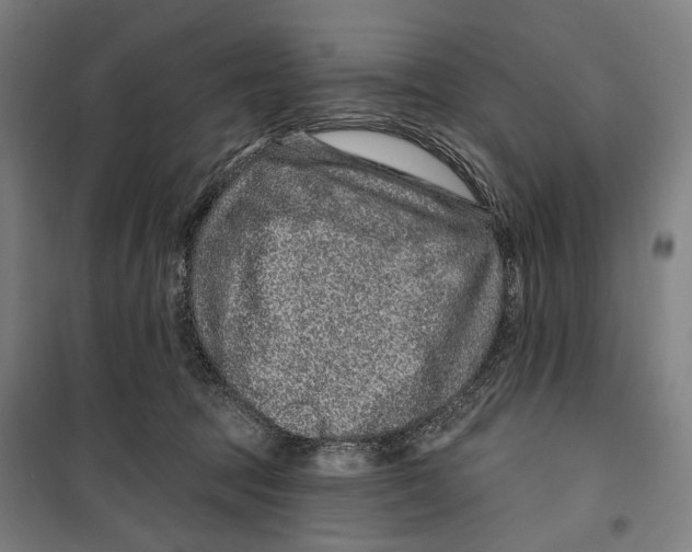 X0000099500369200806121421