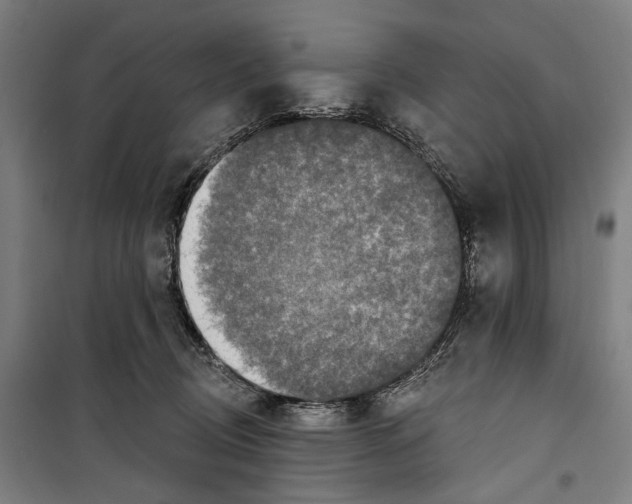 X0000099500370200806121421