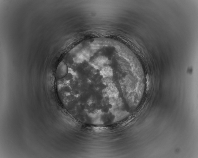 X0000099500371200806121421