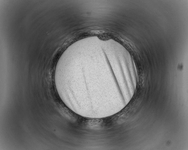 X0000099500373200806121421