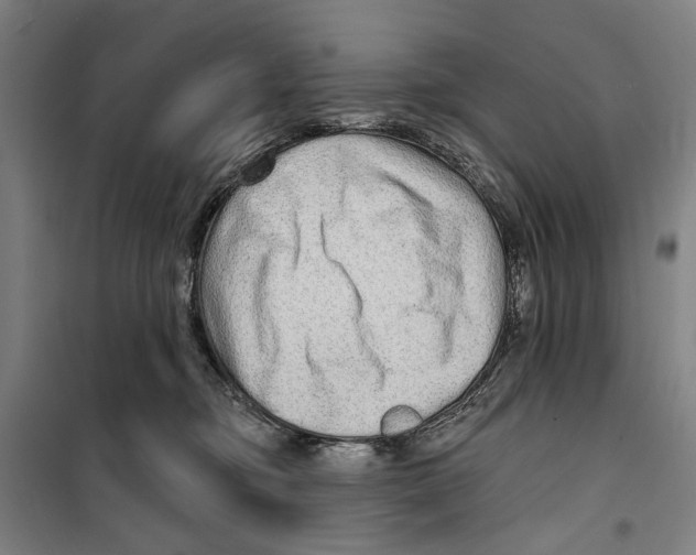 X0000099500374200806121421