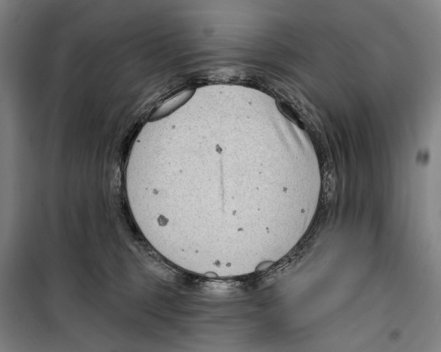 X0000099500375200806121421