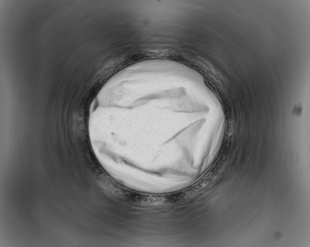 X0000099500377200806121421