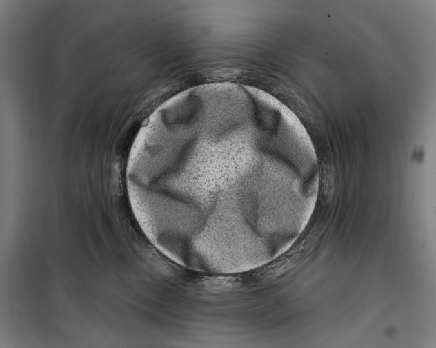 X0000099500378200806121421