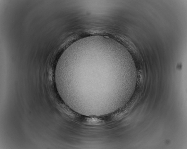 X0000099500380200806121421