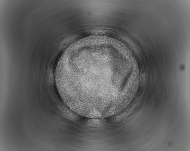 X0000099500381200806121421