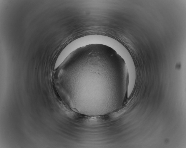 X0000099500382200806121421