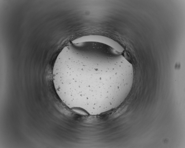 X0000099500384200806121421