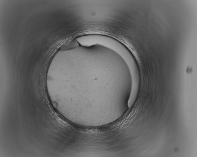 X0000099500385200806121420