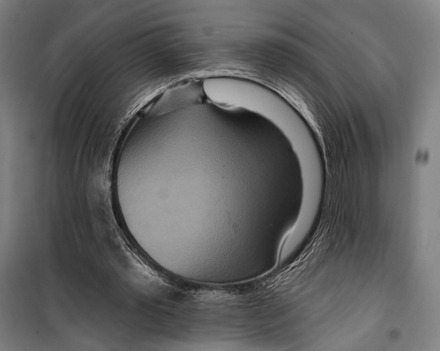 X0000099500389200806121420