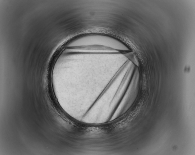 X0000099500392200806121420