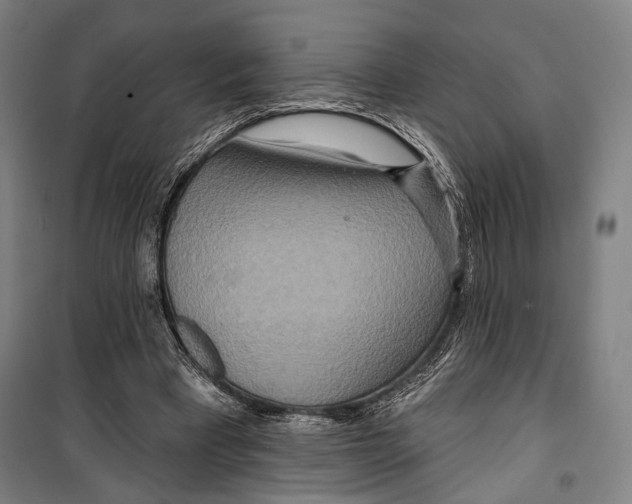 X0000099500393200806121420