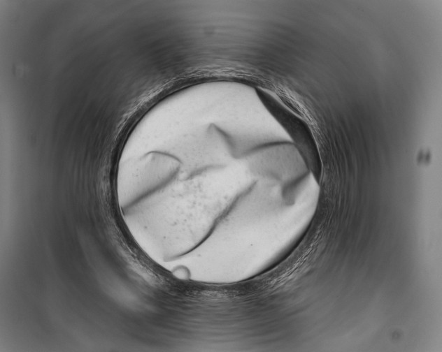 X0000099500394200806121420