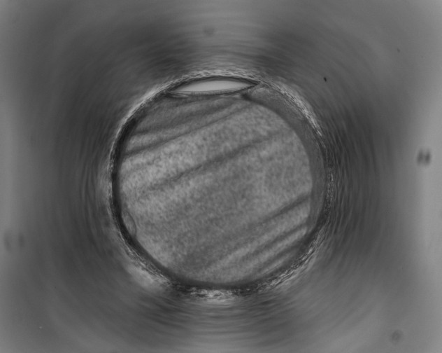 X0000099500395200806121420