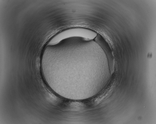 X0000099500397200806121420