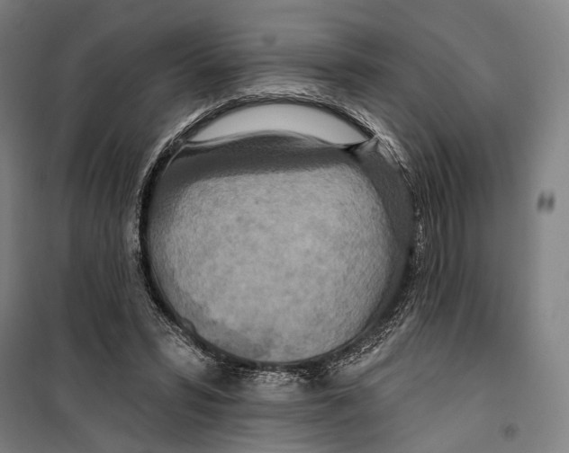 X0000099500399200806121420