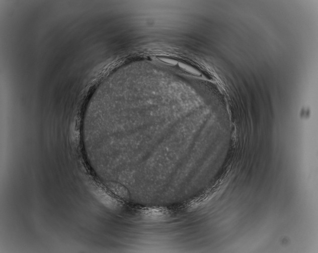 X0000099500402200806121420