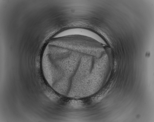 X0000099500403200806121420