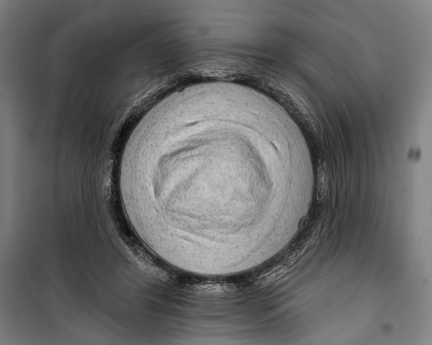 X0000099500404200806121420