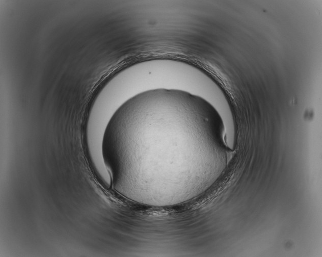 X0000099500405200806121420