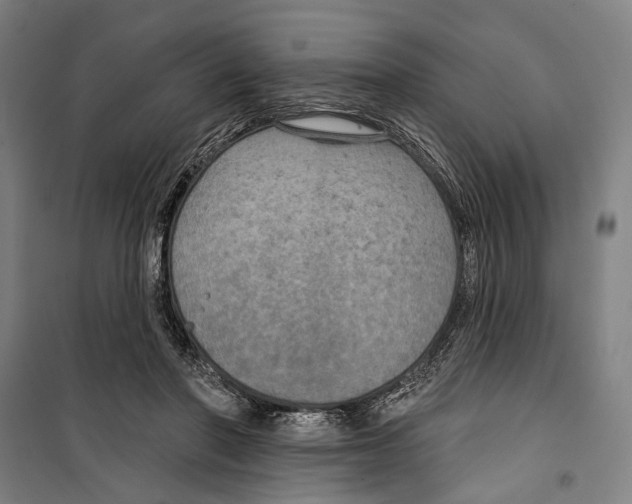 X0000099500406200806121420