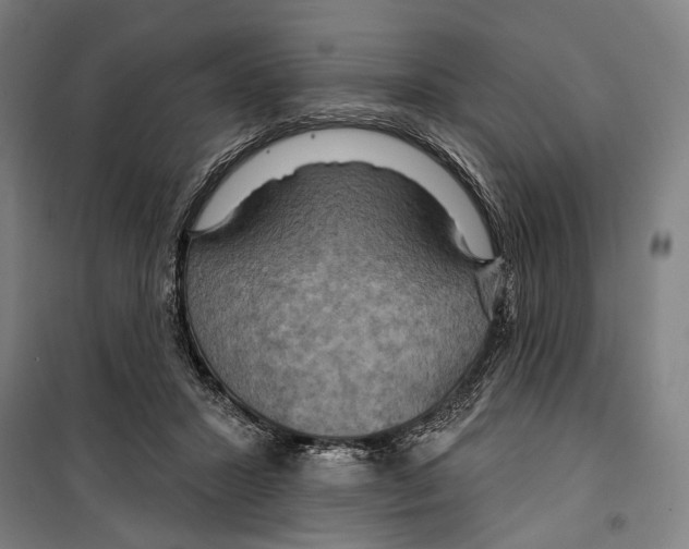 X0000099500407200806121420