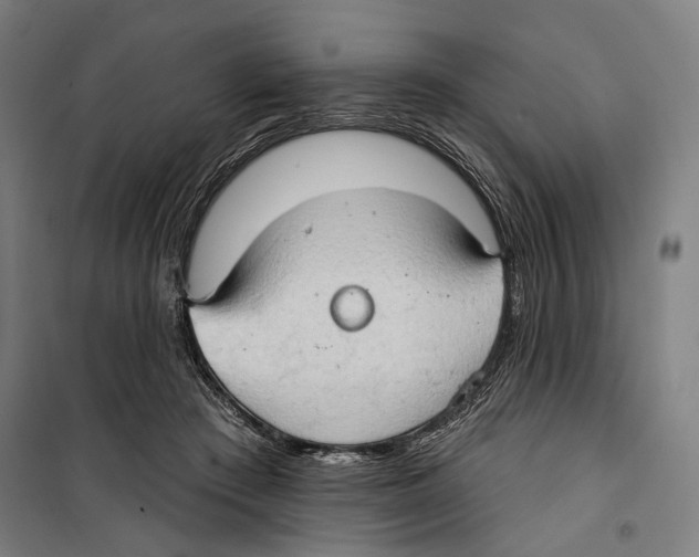 X0000099500409200806121420