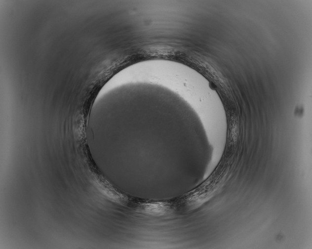 X0000099500411200806121420