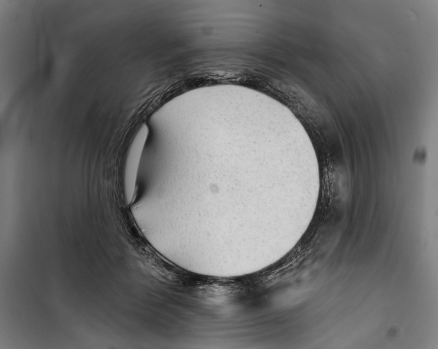 X0000099500412200806121420