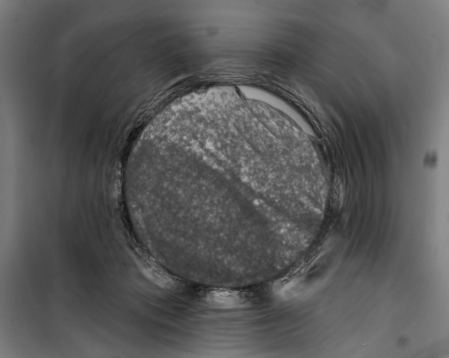 X0000099500413200806121420