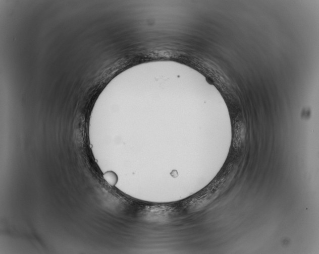 X0000099500414200806121420