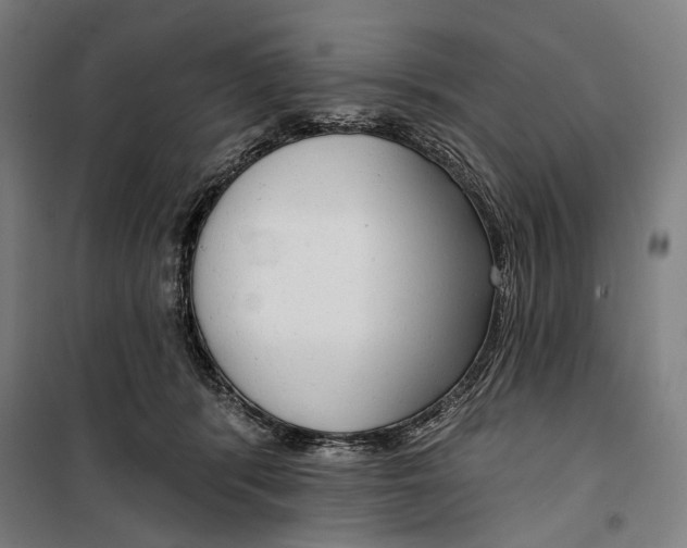 X0000099500416200806121420