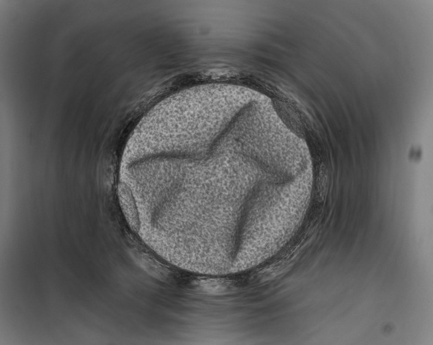 X0000099500417200806121420