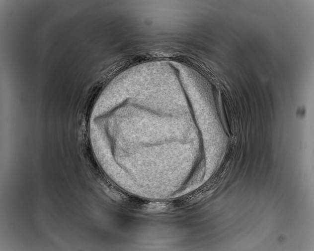 X0000099500418200806121420