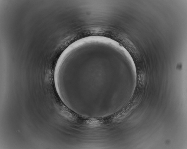 X0000099500419200806121420