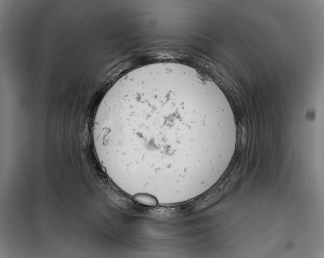 X0000099500422200806121420