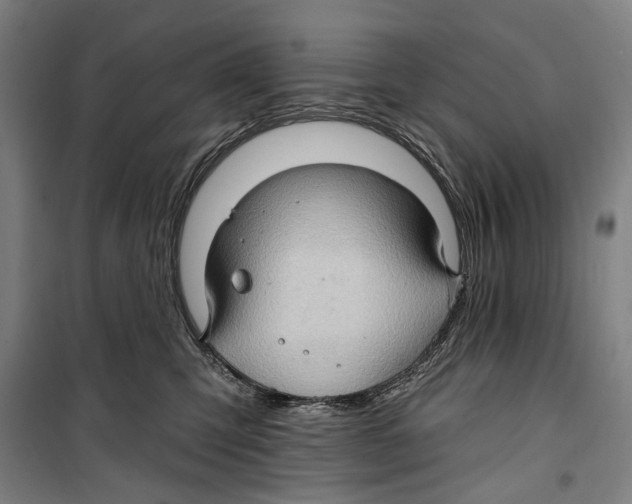 X0000099500423200806121420