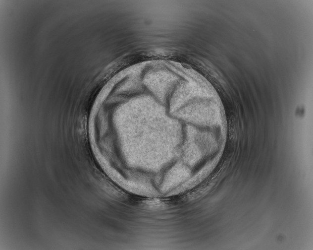 X0000099500425200806121420