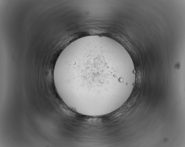 X0000099500426200806121420