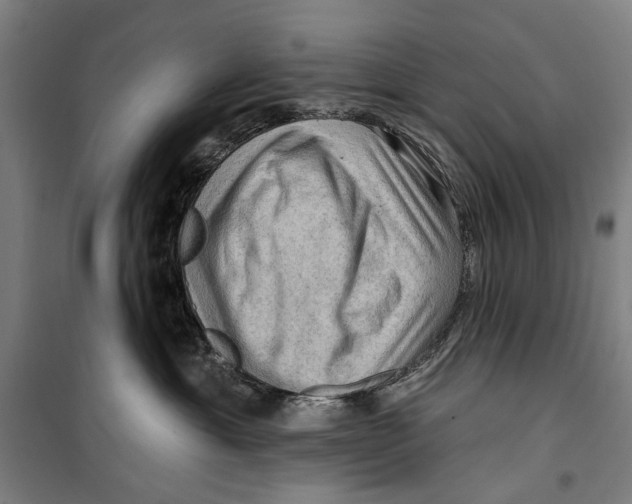 X0000099500429200806121420