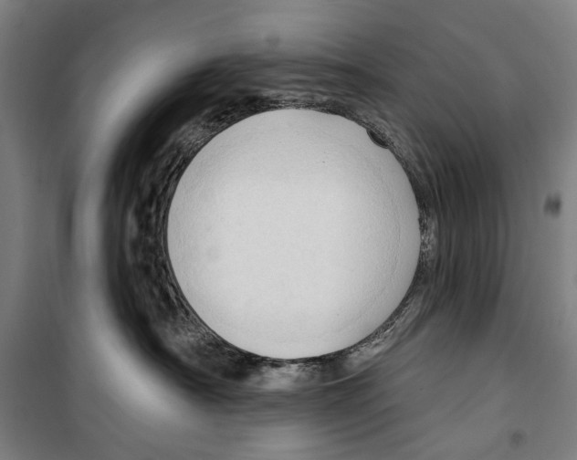 X0000099500430200806121420