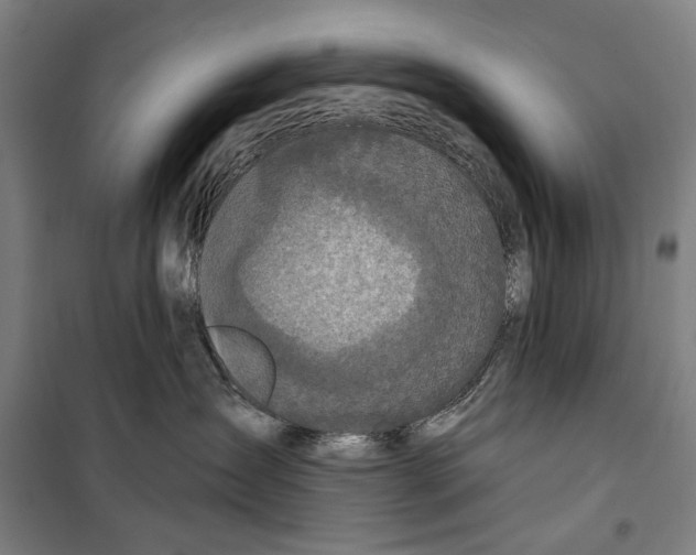 X0000099500431200806121420