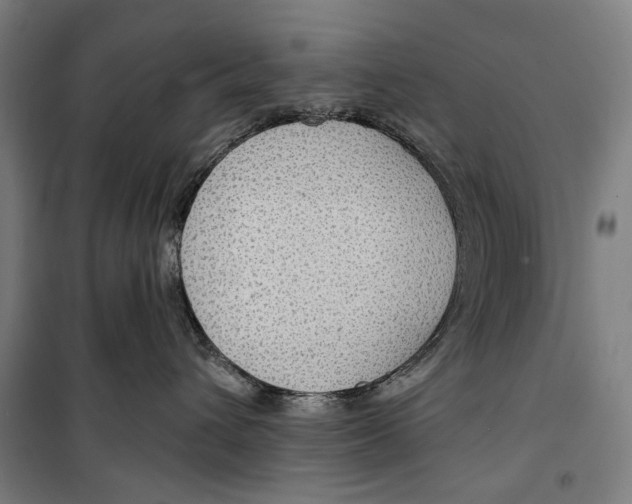 X0000099500432200806121420