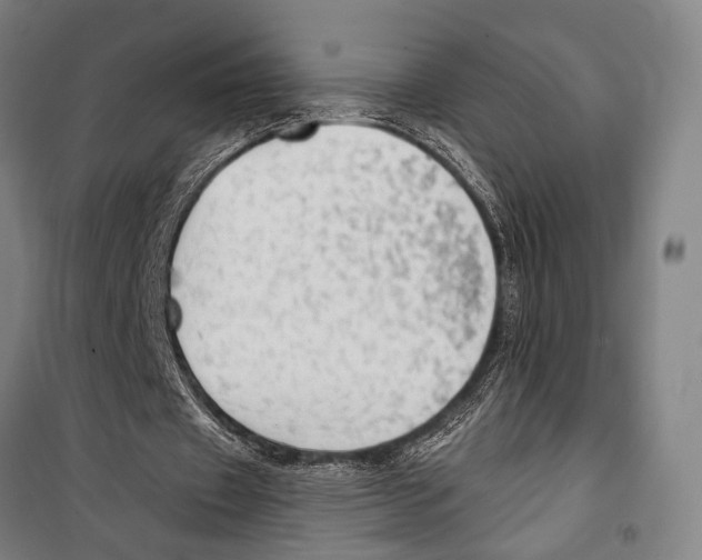 X0000099500433200806121419