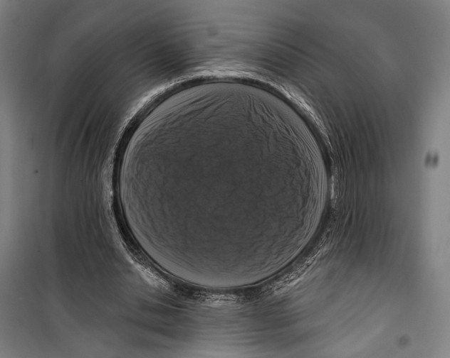 X0000099500438200806121419