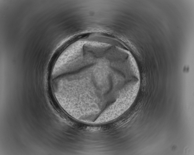 X0000099500440200806121419