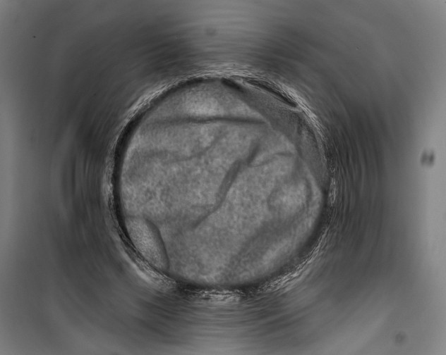 X0000099500443200806121419