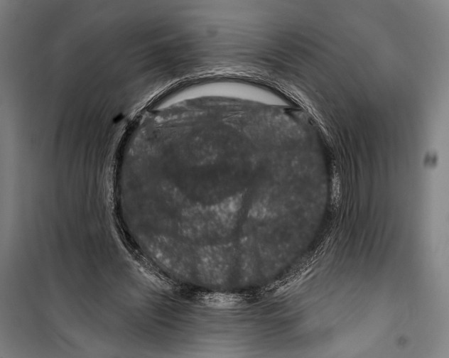 X0000099500444200806121419