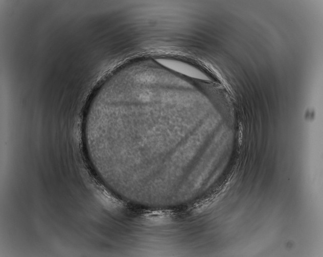 X0000099500447200806121419